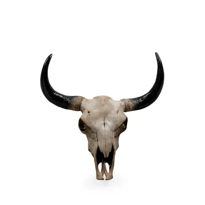 Large Bison Skull Wall Head