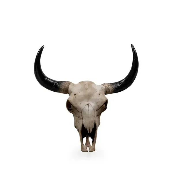 Large Bison Skull Wall Head