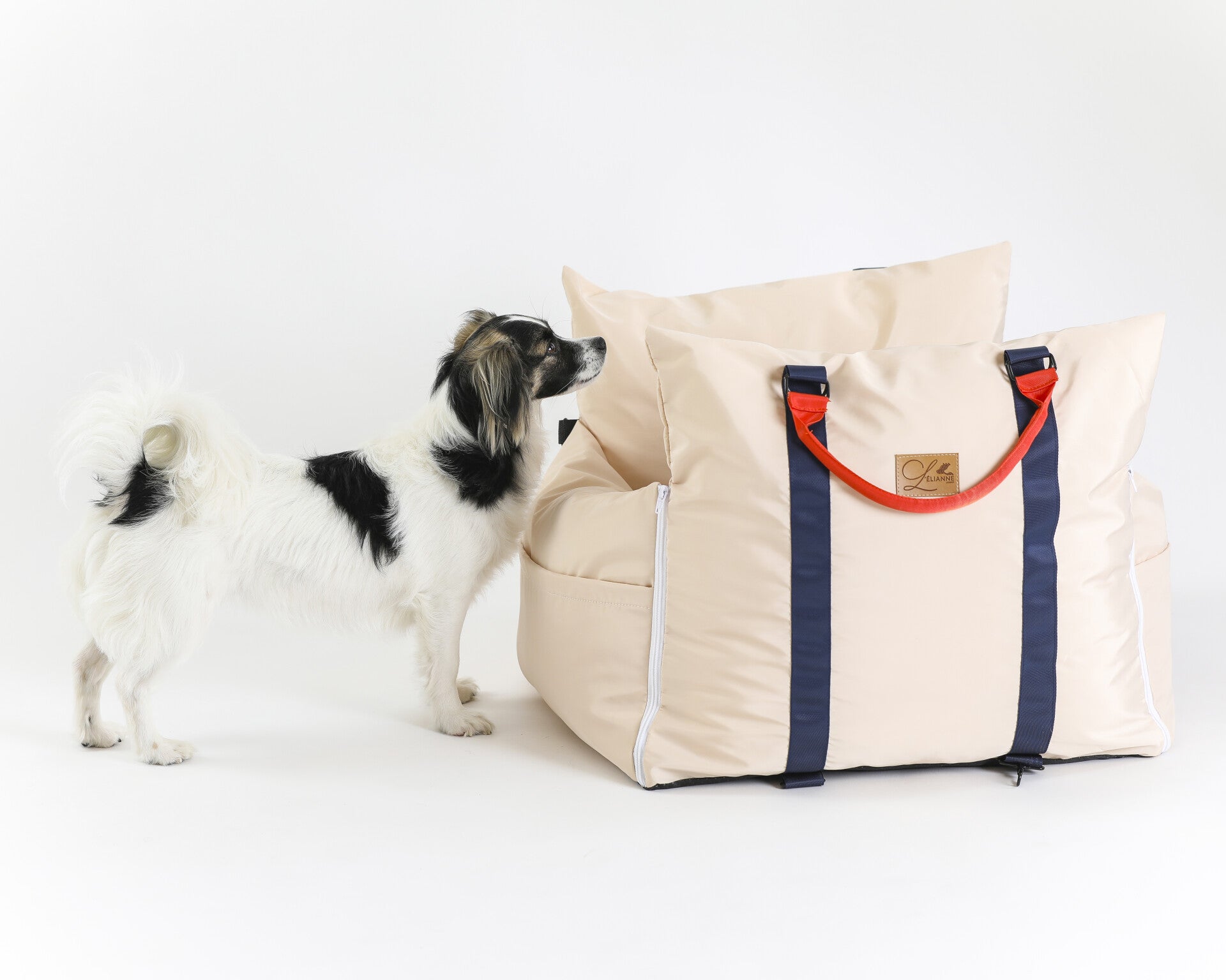 How to Get More Real Instagram Followers & More Likes | Dog Influencer