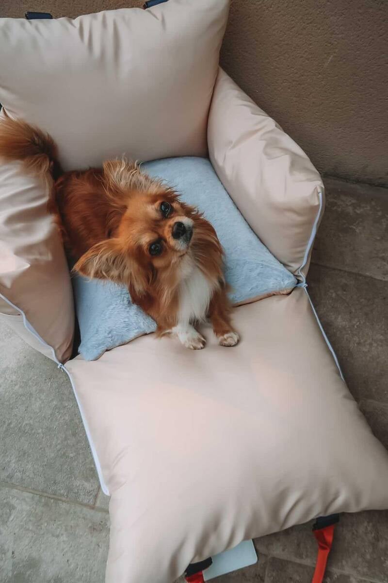 Dog Car Seat  | Dog Travel Bed  | Booster Dog Car Seat – L’élianne
