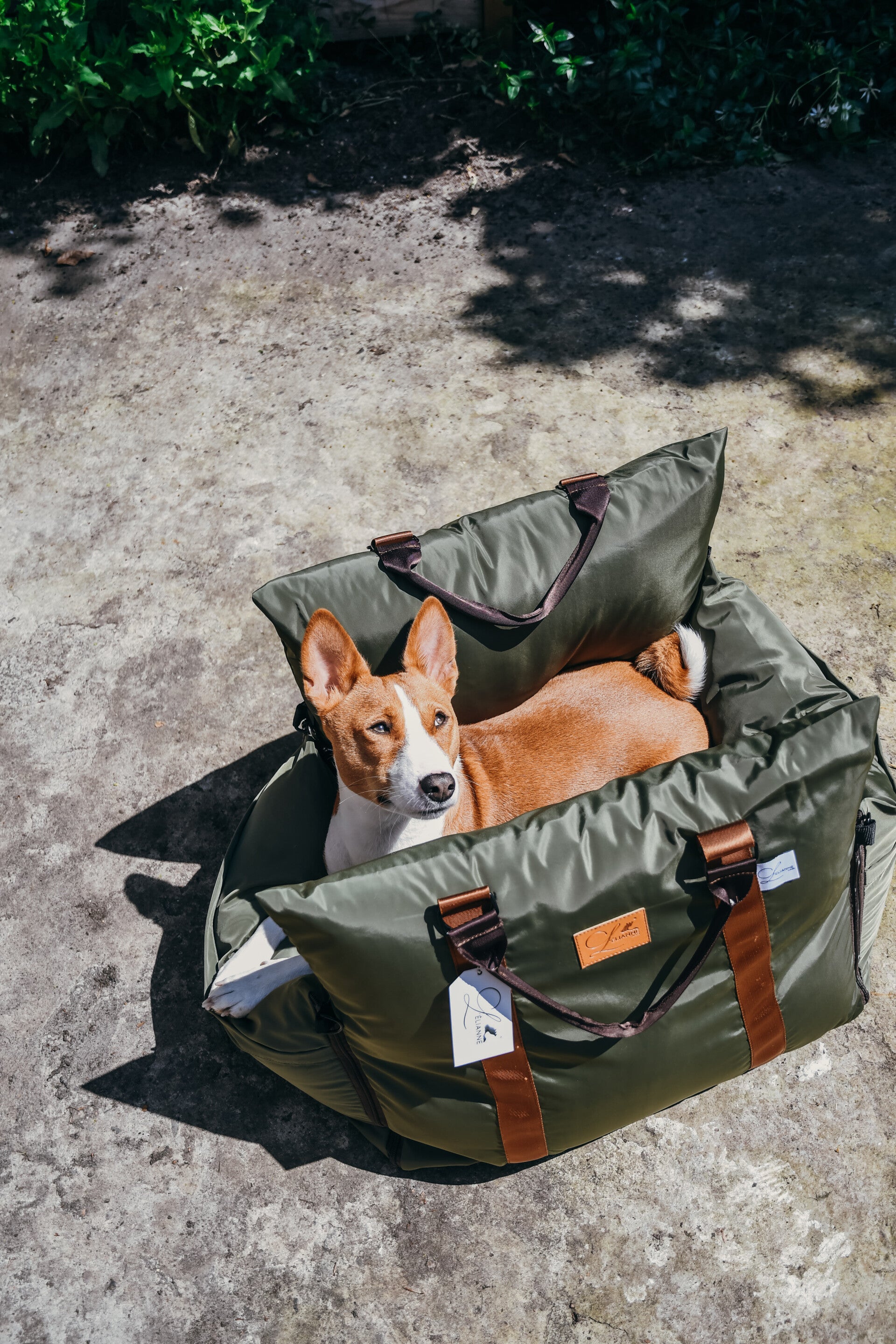 Dog Car Seat  | Dog Travel Bed  | Booster Dog Car Seat – L’élianne
