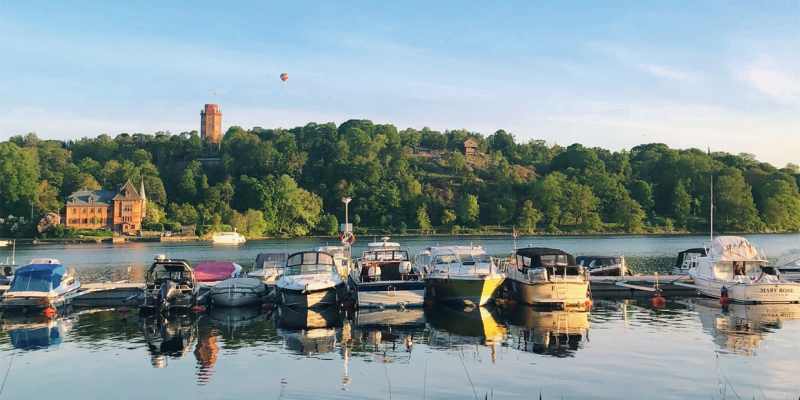 Stockholm Sweden Dog-Friendly Travel: What To Do?