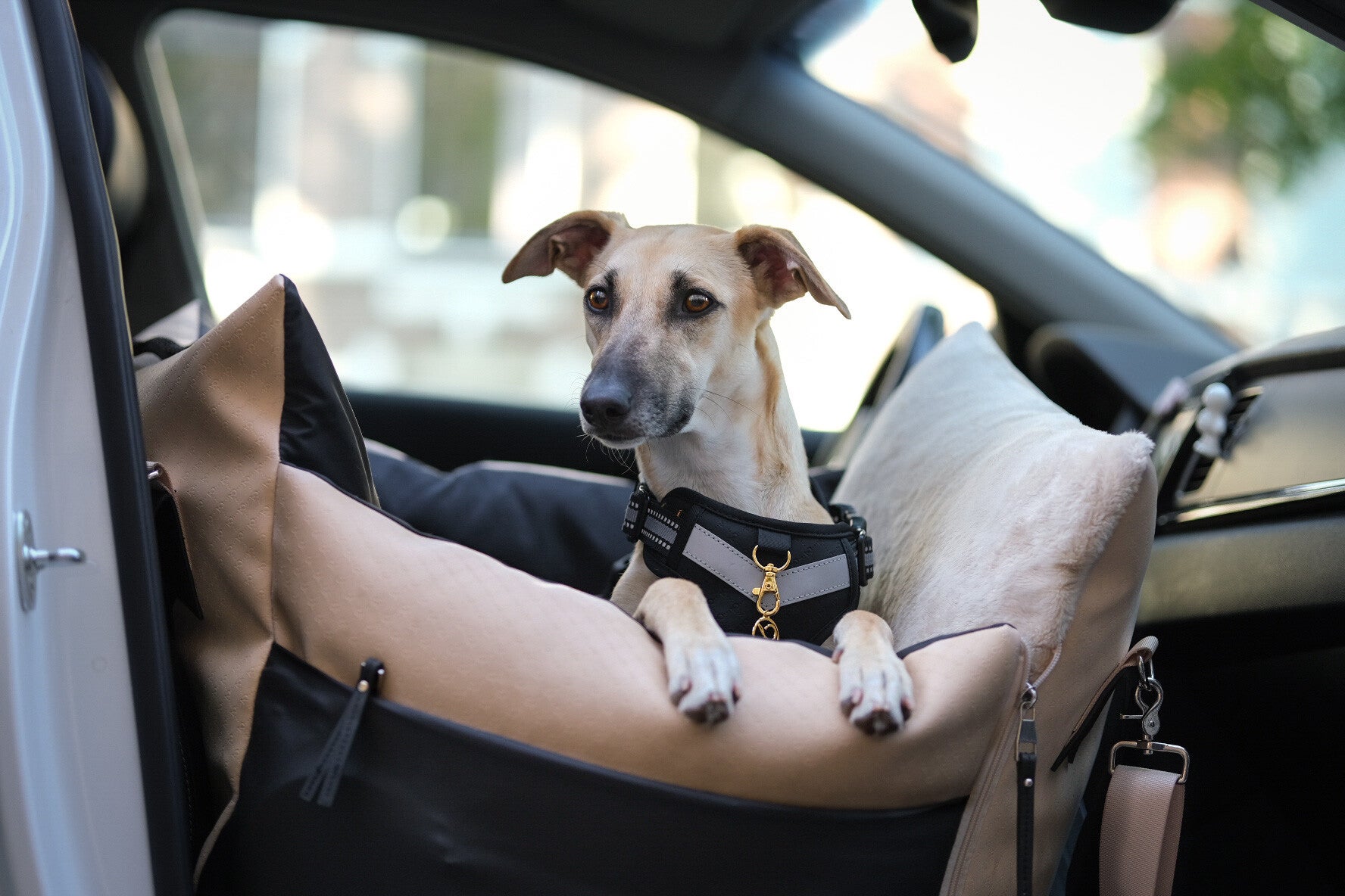 Dog Car Seat  | Dog Travel Bed | Dog Car Bed | Booster Car Seat Dog – L’élianne 