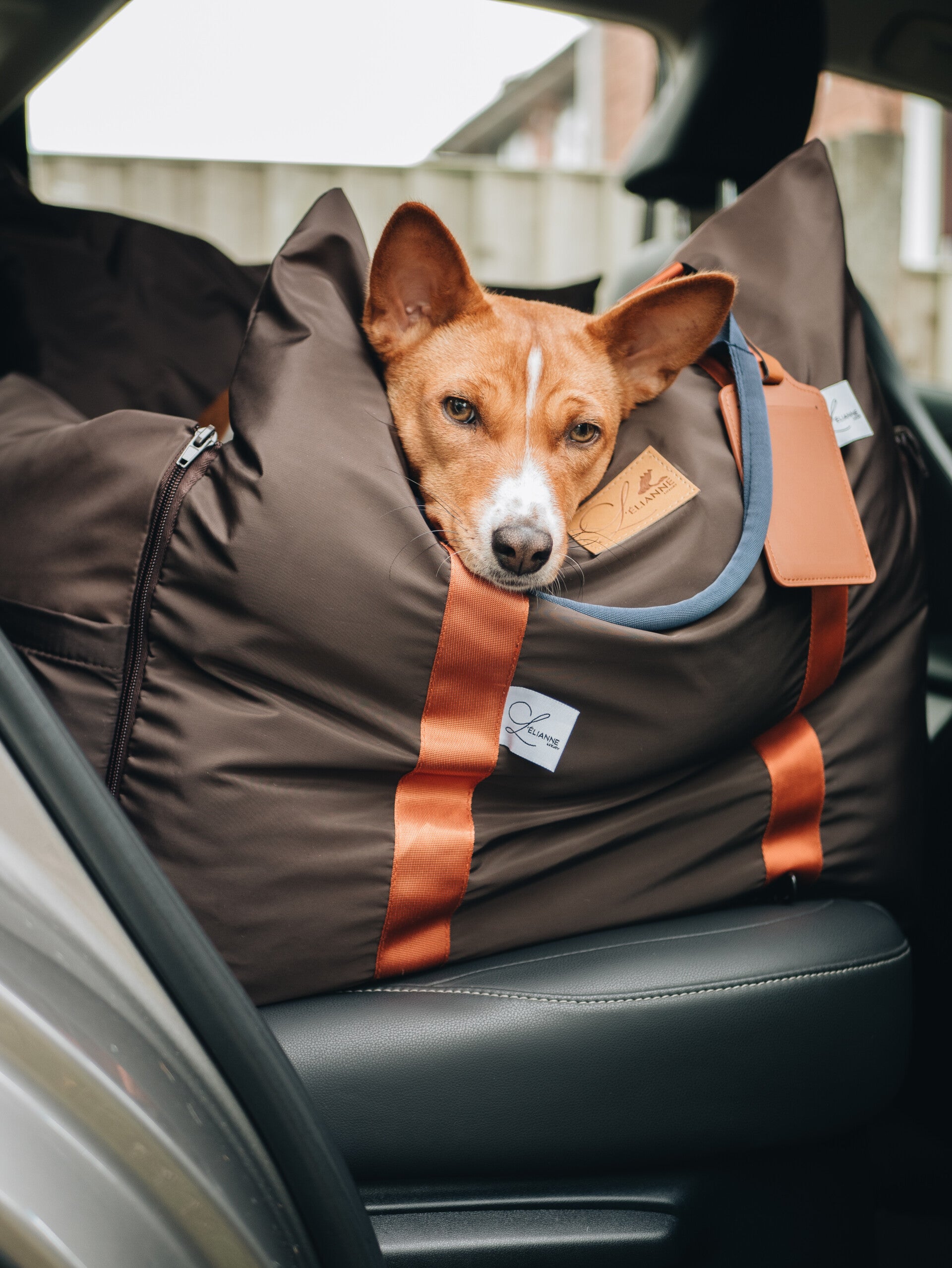 Dog Car Seat  | Dog Travel Bed  | Booster Dog Car Seat – L’élianne