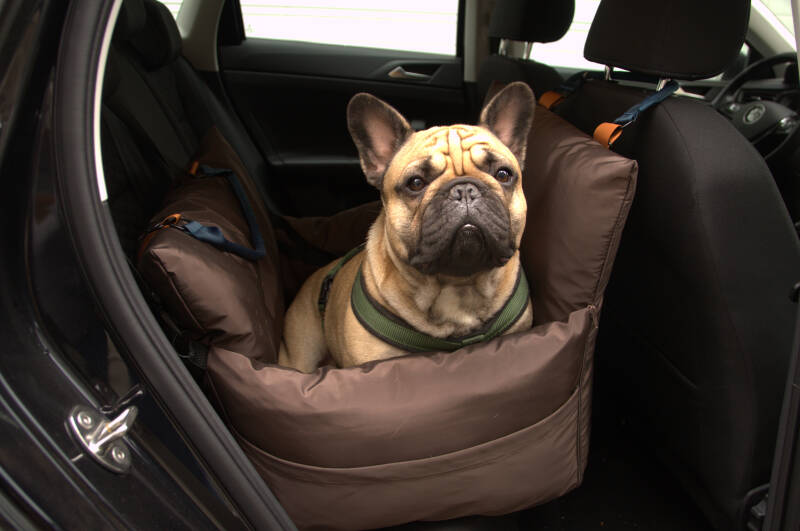 Dog Car Seat  | Dog Travel Bed | Dog Car Bed | Booster Car Seat Dog – L’élianne 
