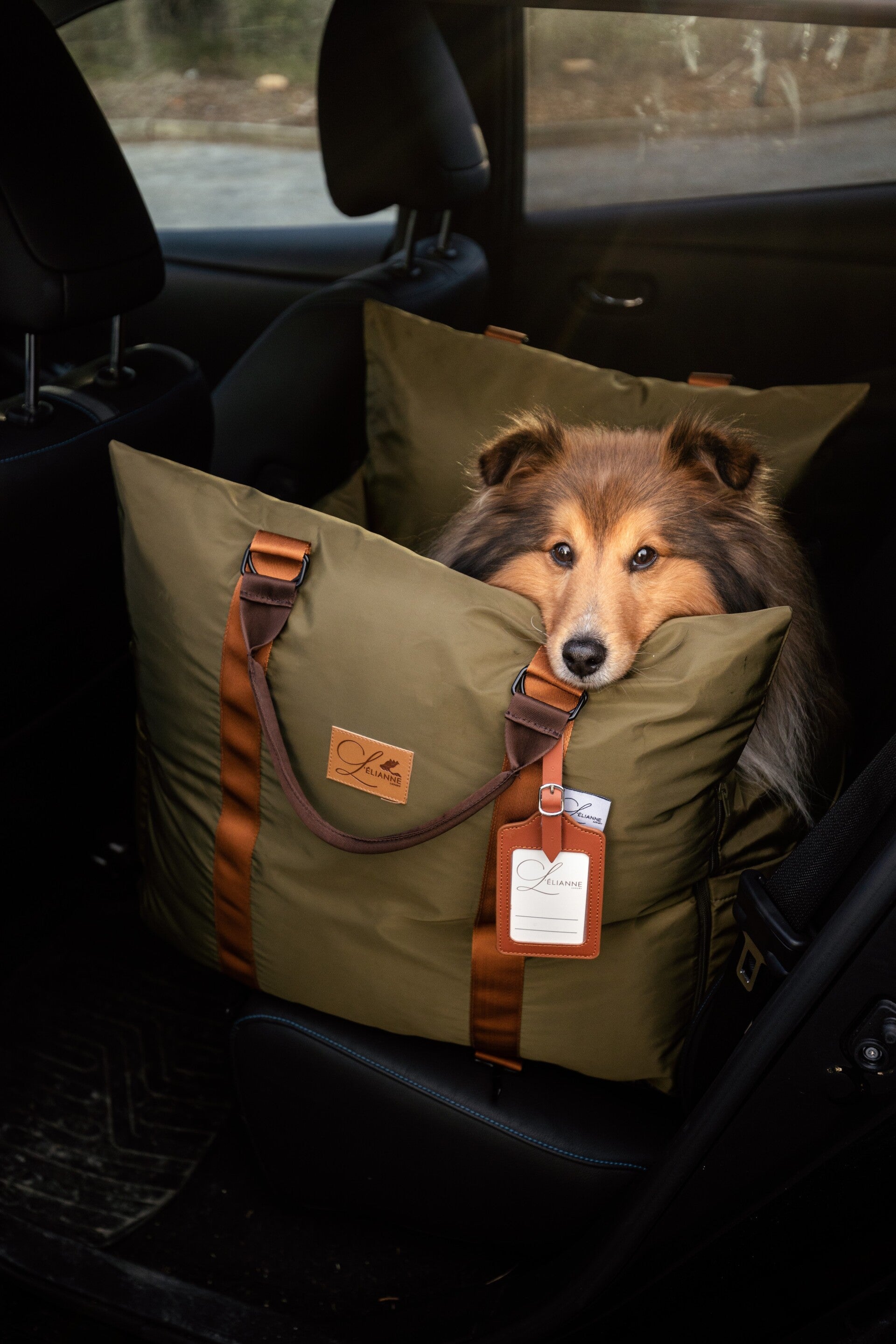 Dog Car Seat  | Dog Travel Bed  | Booster Dog Car Seat – L’élianne