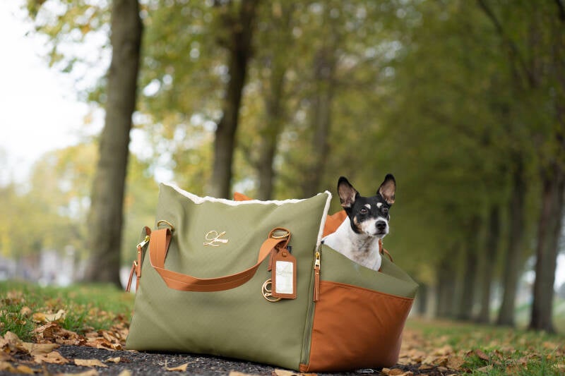 Dog Car Seat  | Dog Travel Bed  | Booster Dog Car Seat – L’élianne