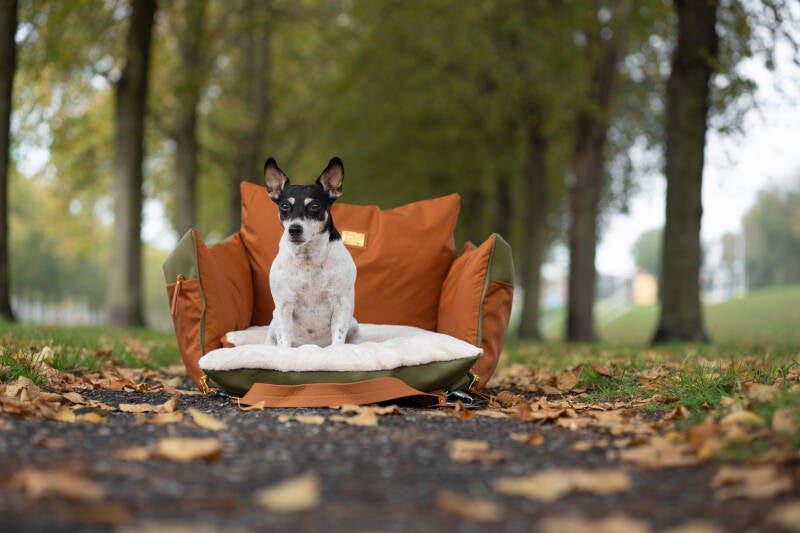 Dog Car Seat  | Dog Travel Bed  | Booster Dog Car Seat – L’élianne