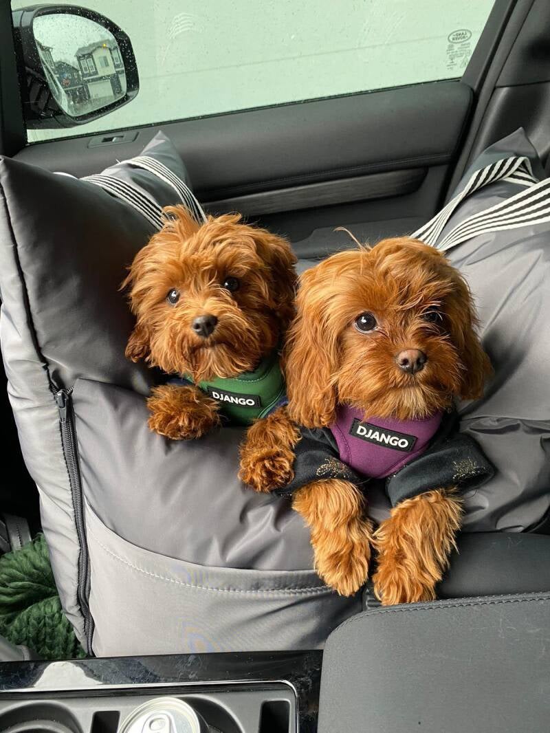 Dog Car Seat  | Dog Travel Bed | Dog Car Bed | Booster Car Seat Dog – L’élianne 