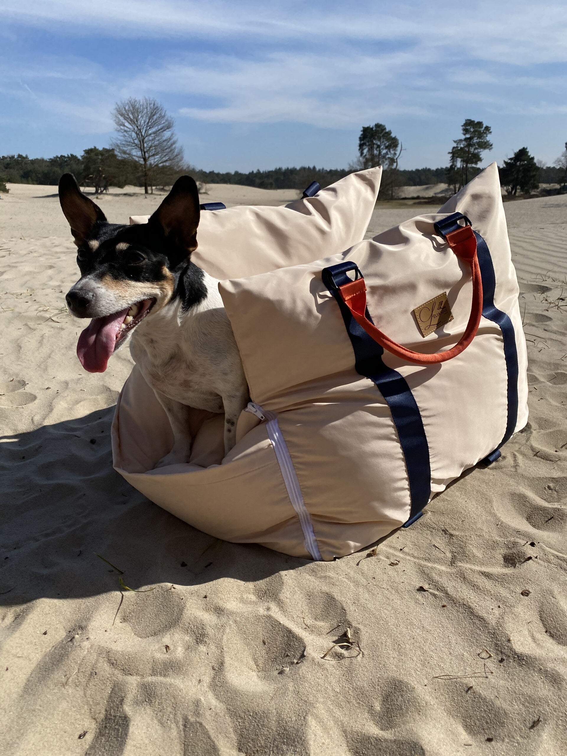 Dog Car Seat  | Dog Travel Bed | Dog Car Bed | Booster Car Seat Dog – L’élianne 