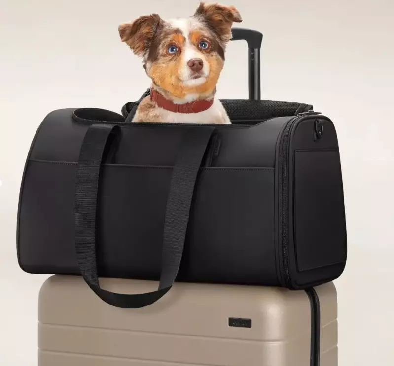 Top 3: Best Dog Car Seat 2023 - Expert Advice