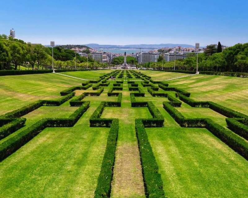 Portugal Lisbon Dog-Friendly Travel - What To Do?