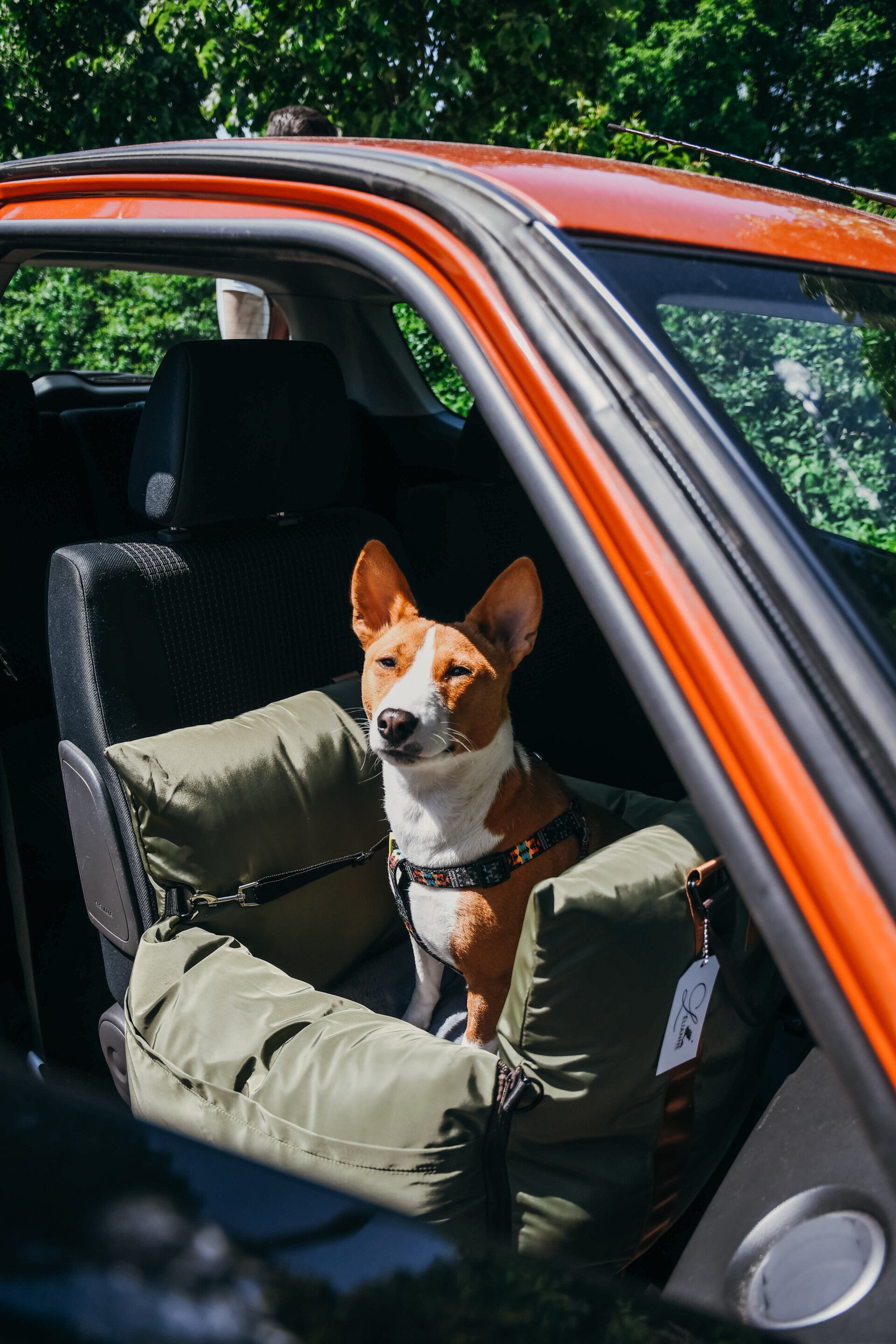 Dog Car Seat  | Dog Travel Bed  | Booster Dog Car Seat – L’élianne