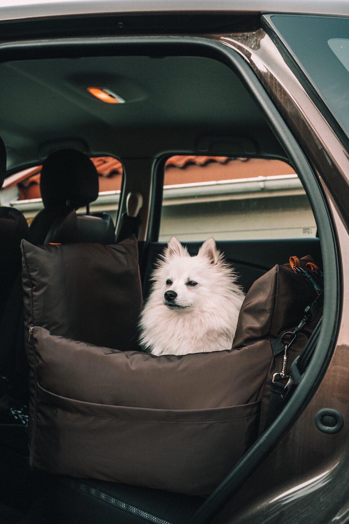 Dog Car Seat  | Dog Travel Bed  | Booster Dog Car Seat – L’élianne