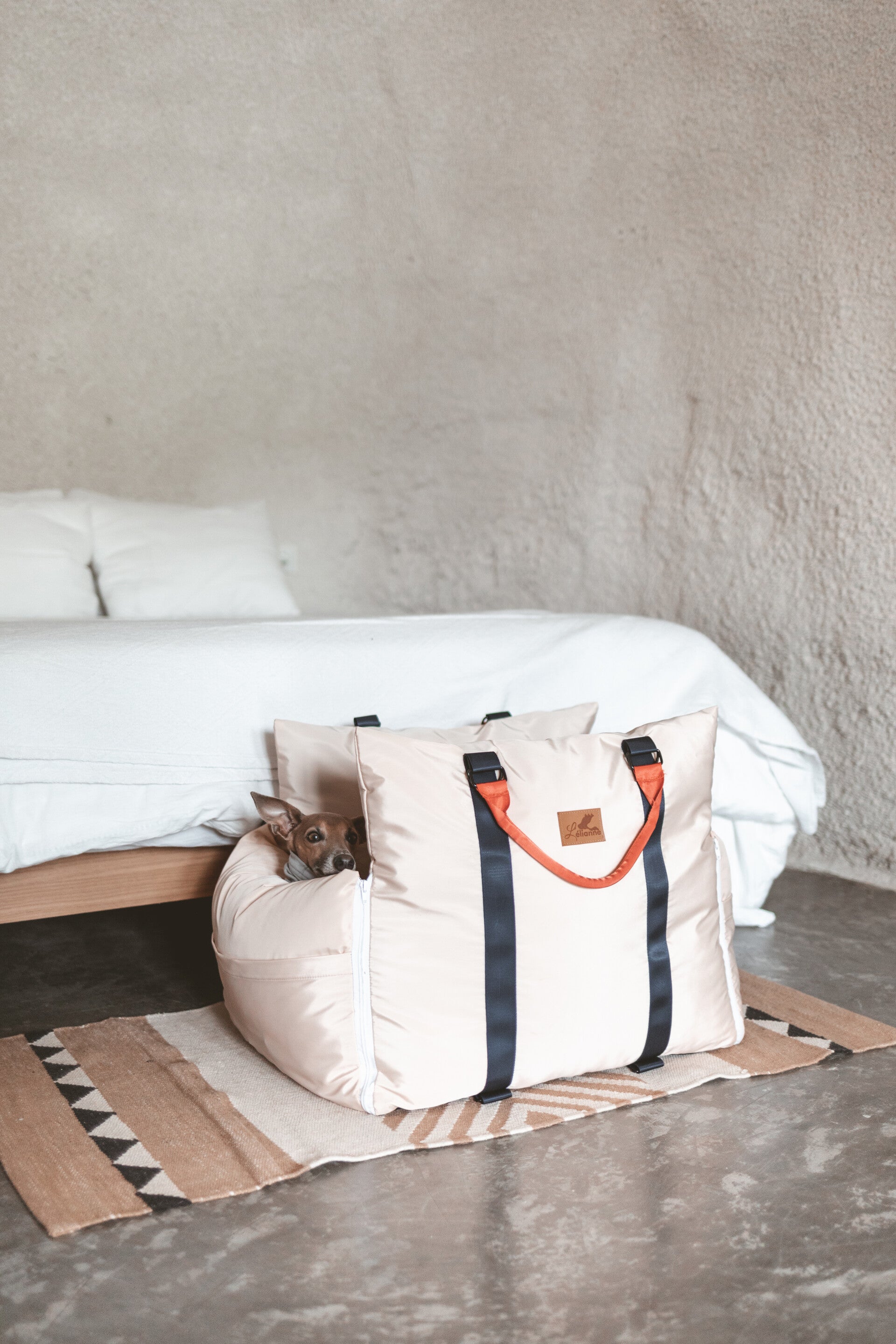 How to Get More Real Instagram Followers & More Likes | Dog Influencer