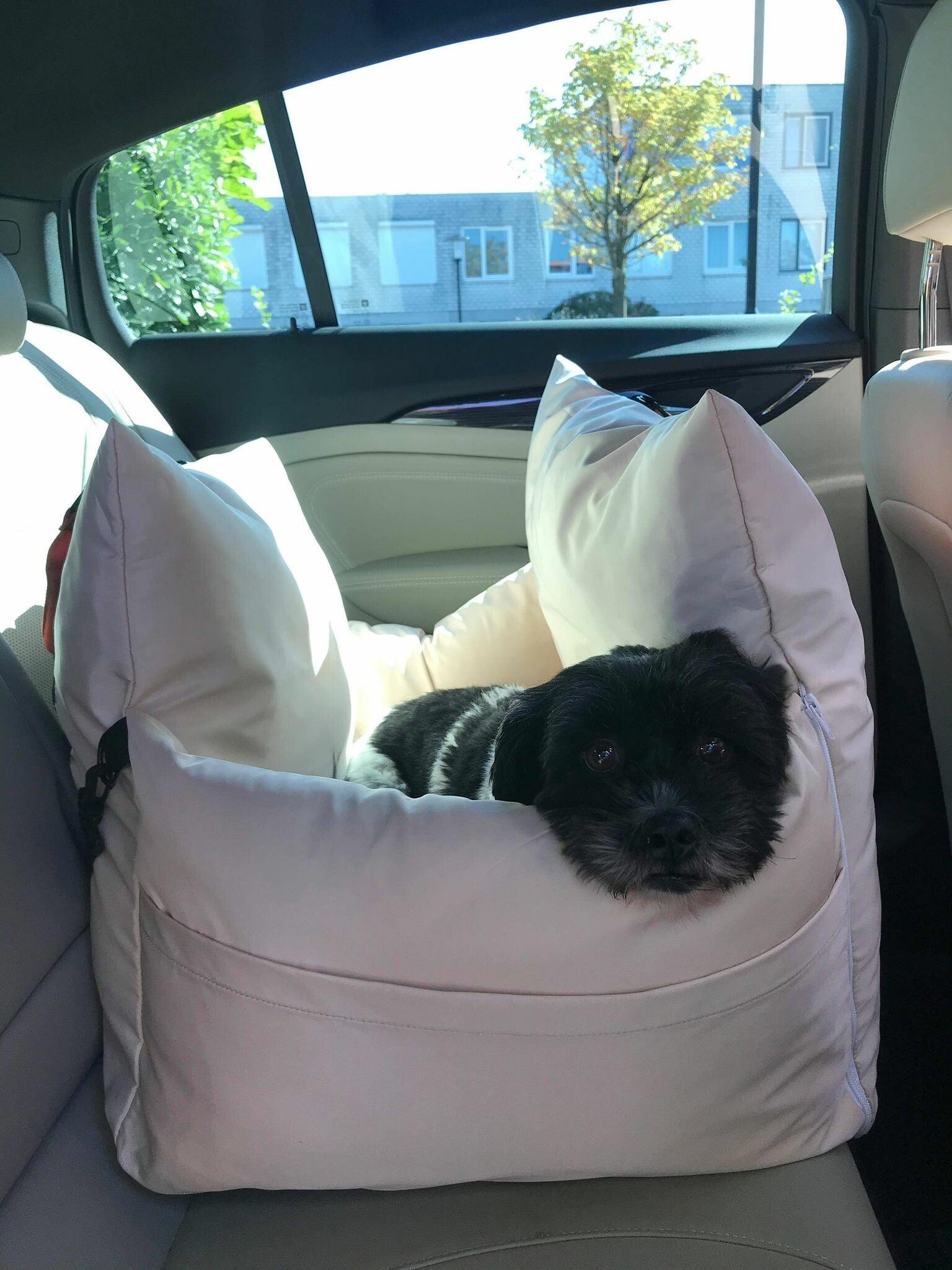 How Long Should You Leave A Dog In A Car