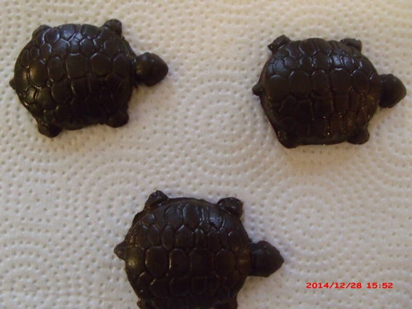 Pecan Turtles