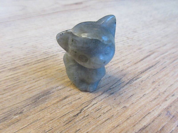 Kat Labradoriet (#1009)