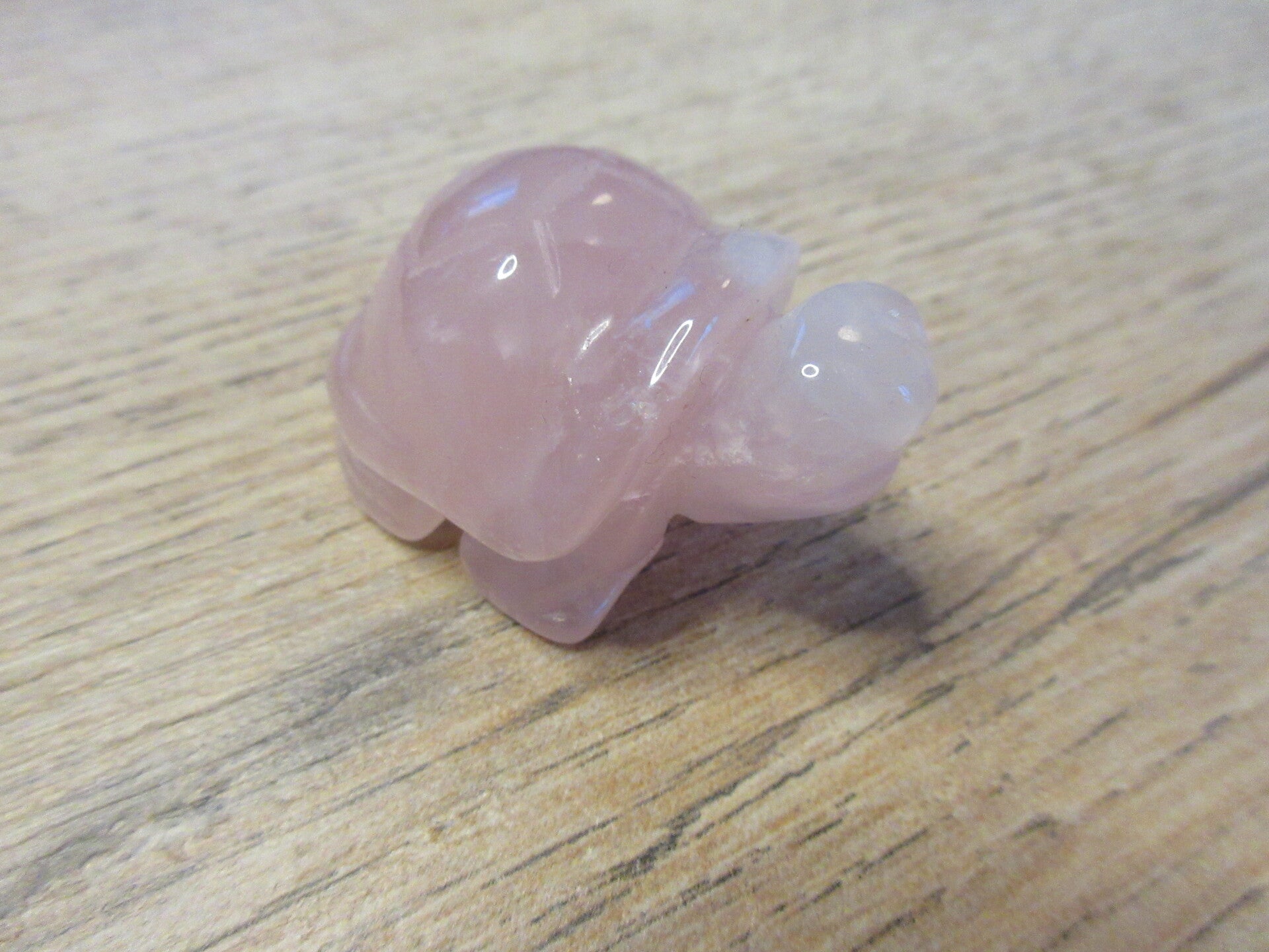 Schildpad Rozenkwarts (#1052)