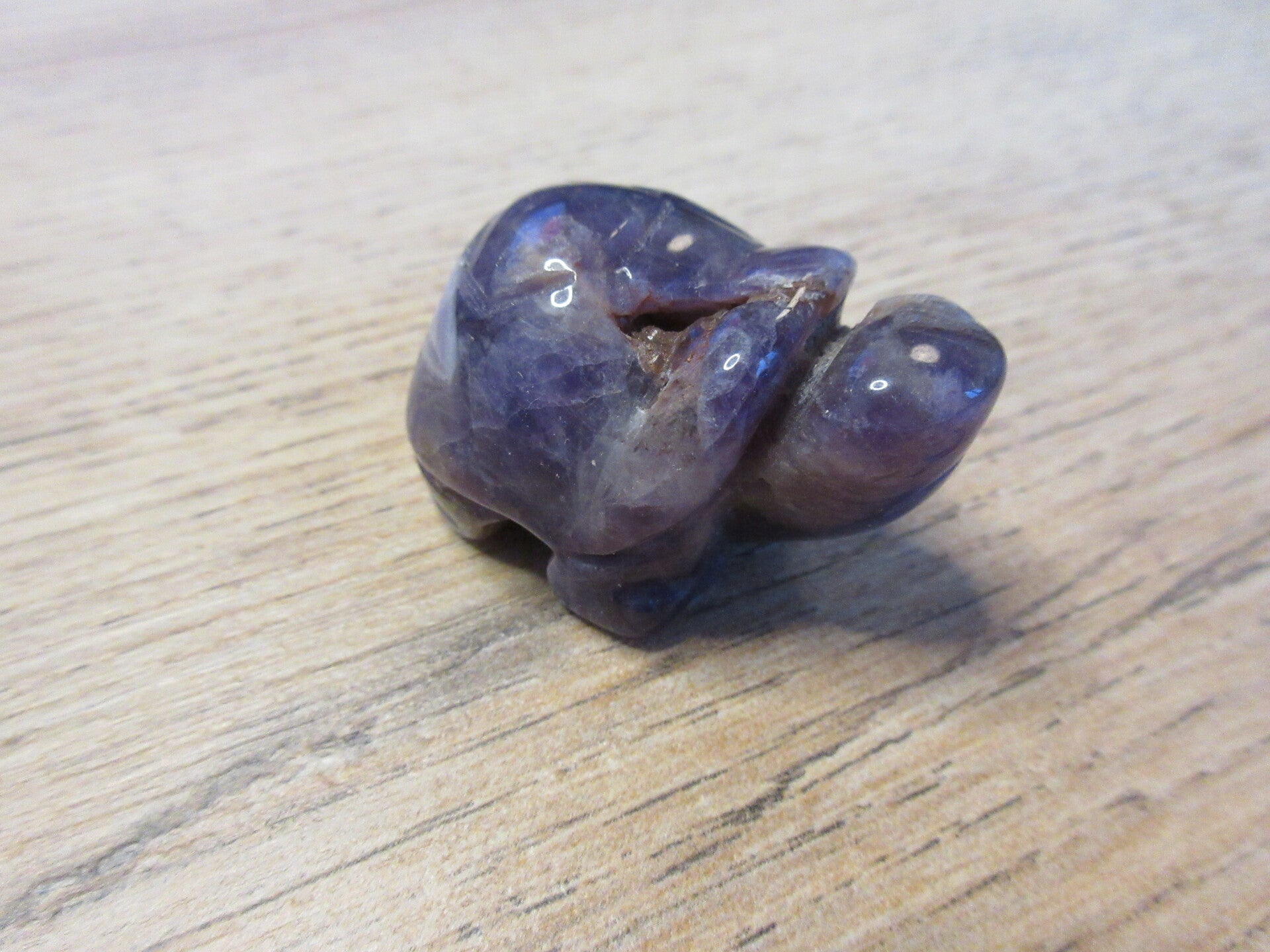 Schildpad Amethist (#1053)