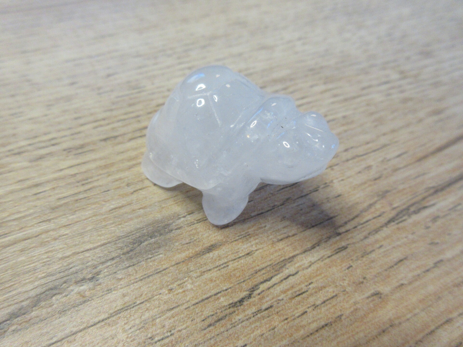 Schildpad Witte kwarts (#1054)