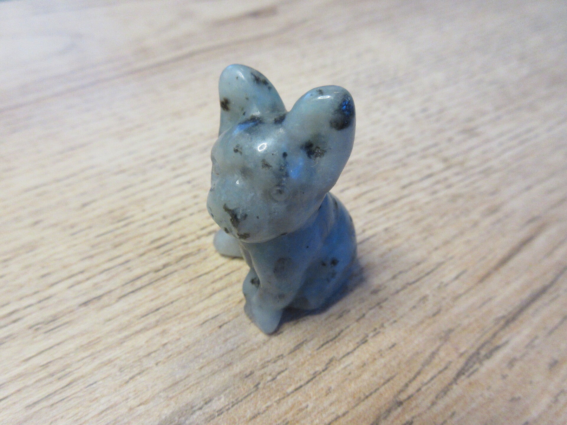 Franse Bulldog Kiwi/Lotus Jaspis (#1078)