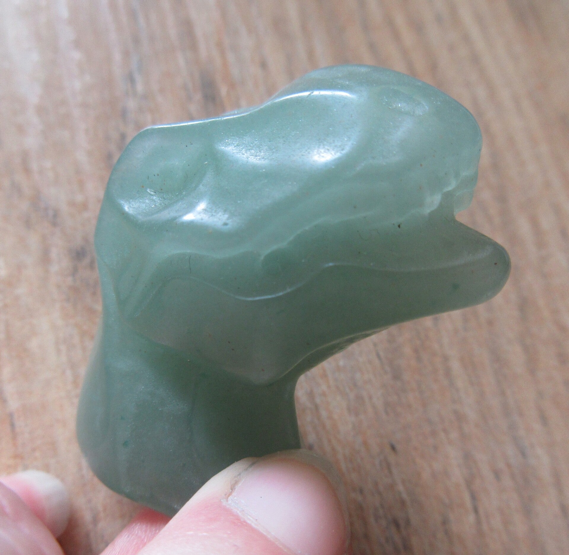 Dino hoofd Aventurijn (#134)