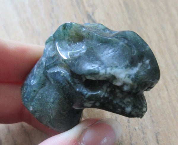 Dino hoofd Mosagaat (#135)