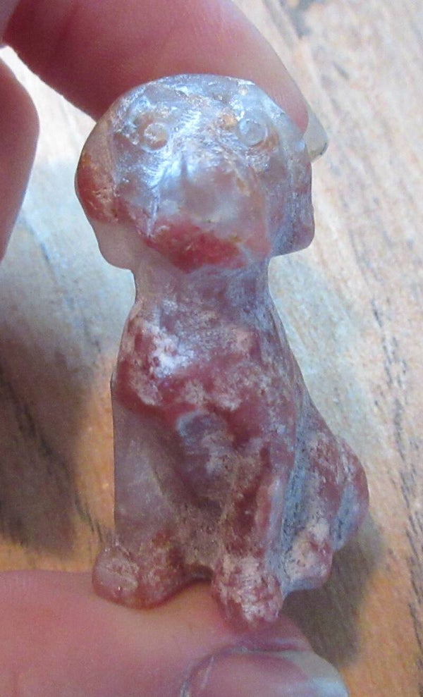 Labrador (#160)