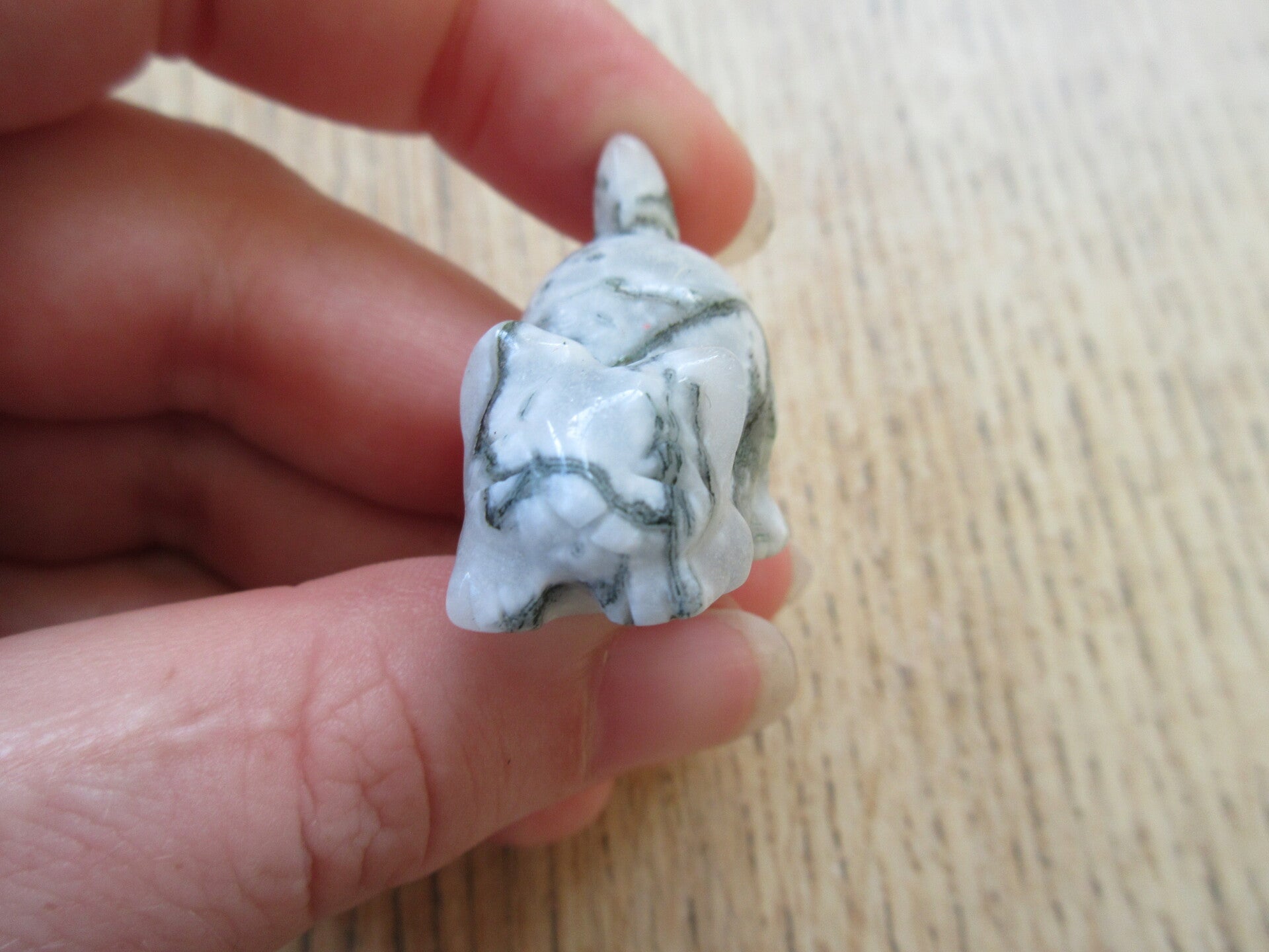 Kat Speels Mosagaat/Boomagaat (#187)