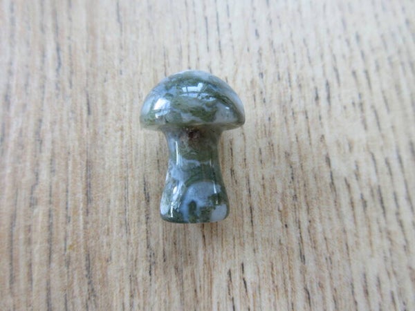 Paddenstoel mini Mosagaat (#193)