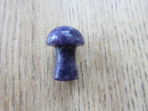 Paddenstoel mini Lepidoliet (#194)