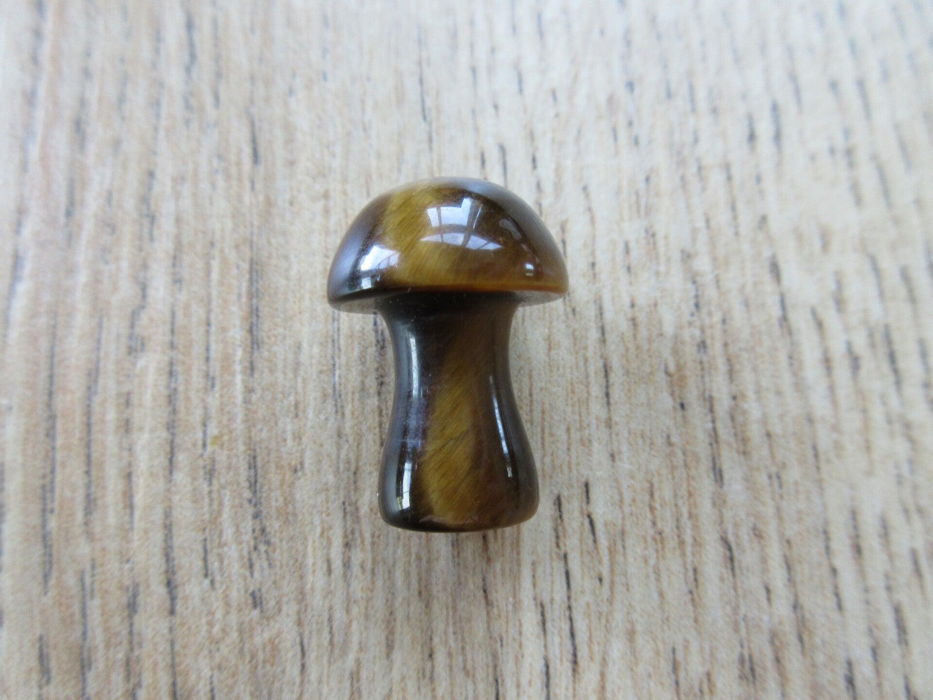 Paddenstoel Tijgeroog (#215)