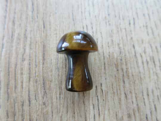 Paddenstoel Tijgeroog (#215)