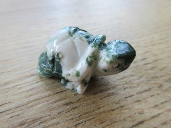 Schildpad Boomagaat (#217)