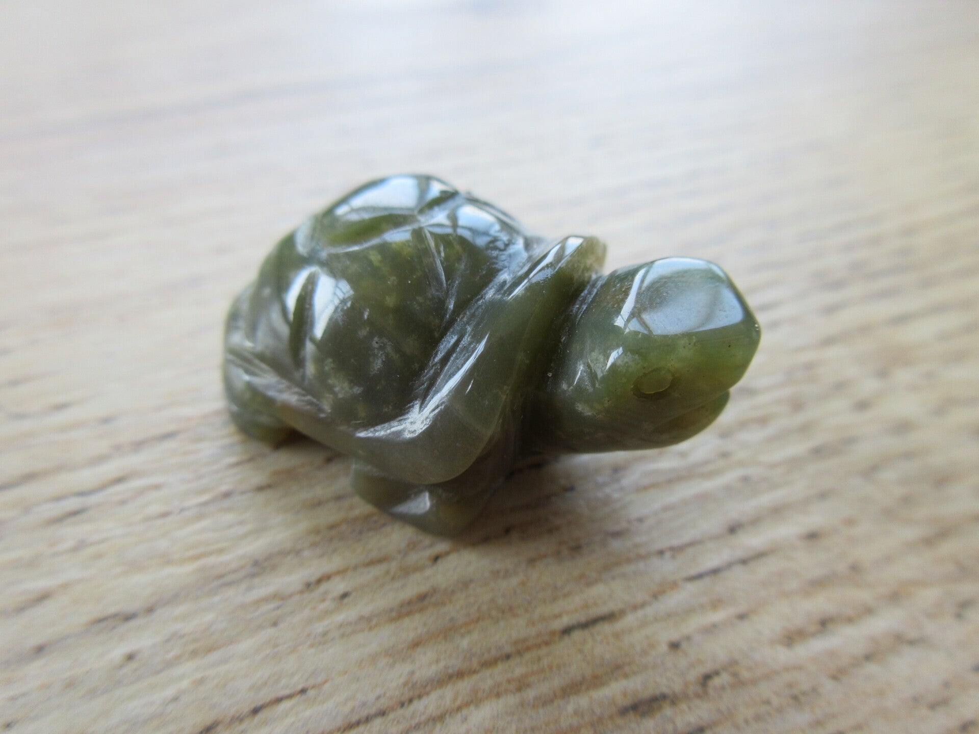 Schildpad Mosagaat (#228)