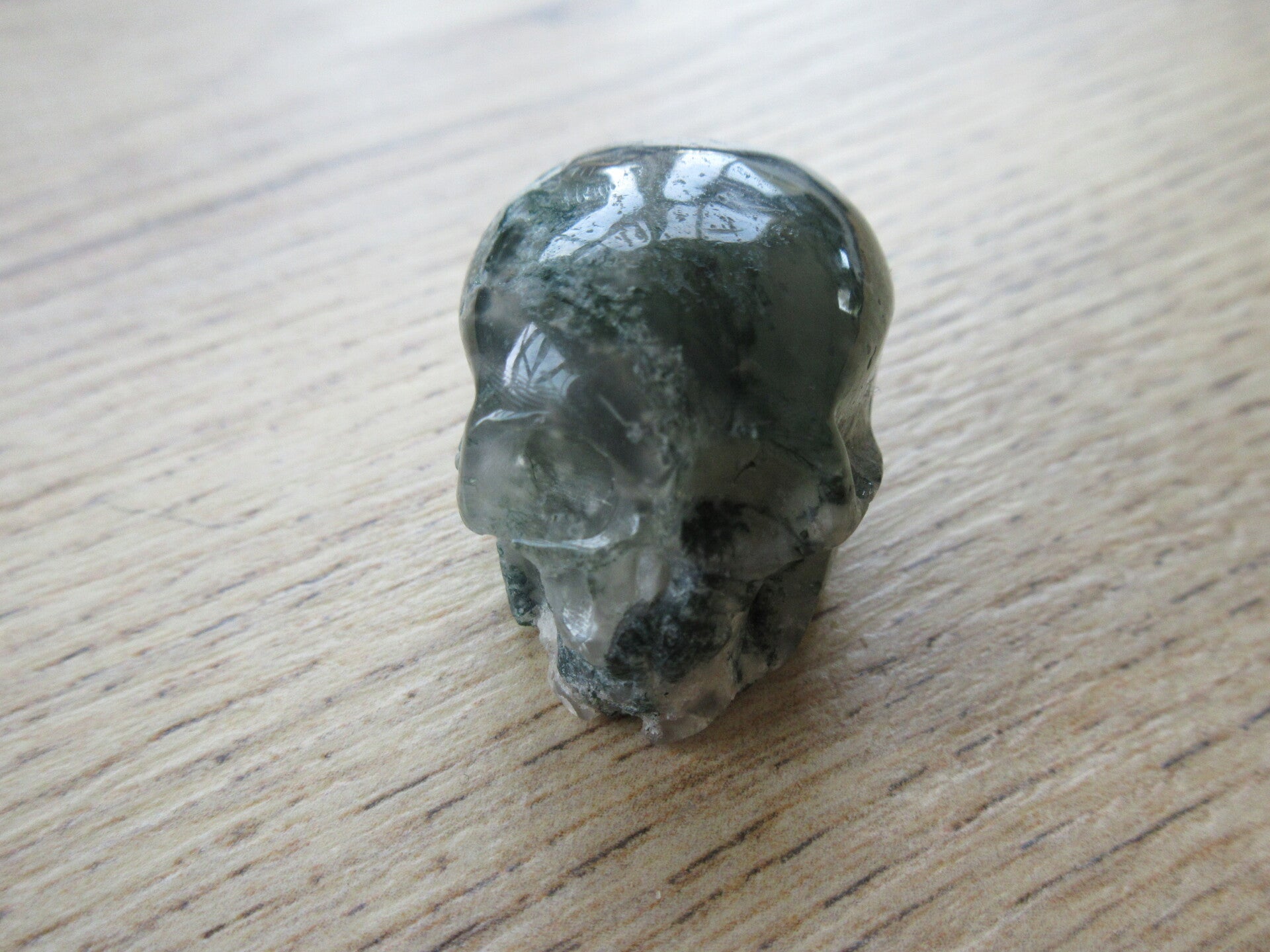 Schedel Mosagaat (#245)