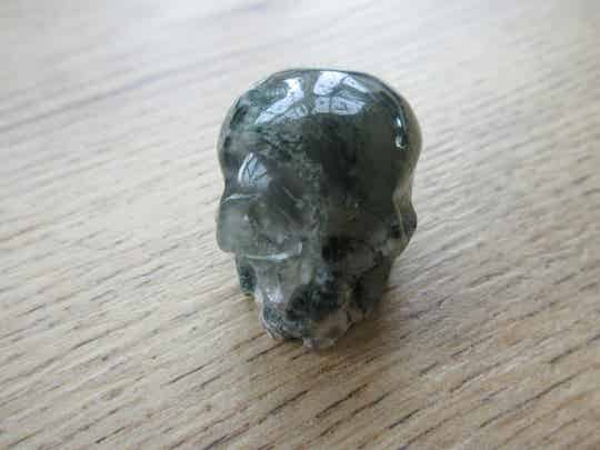 Schedel Mosagaat (#245)