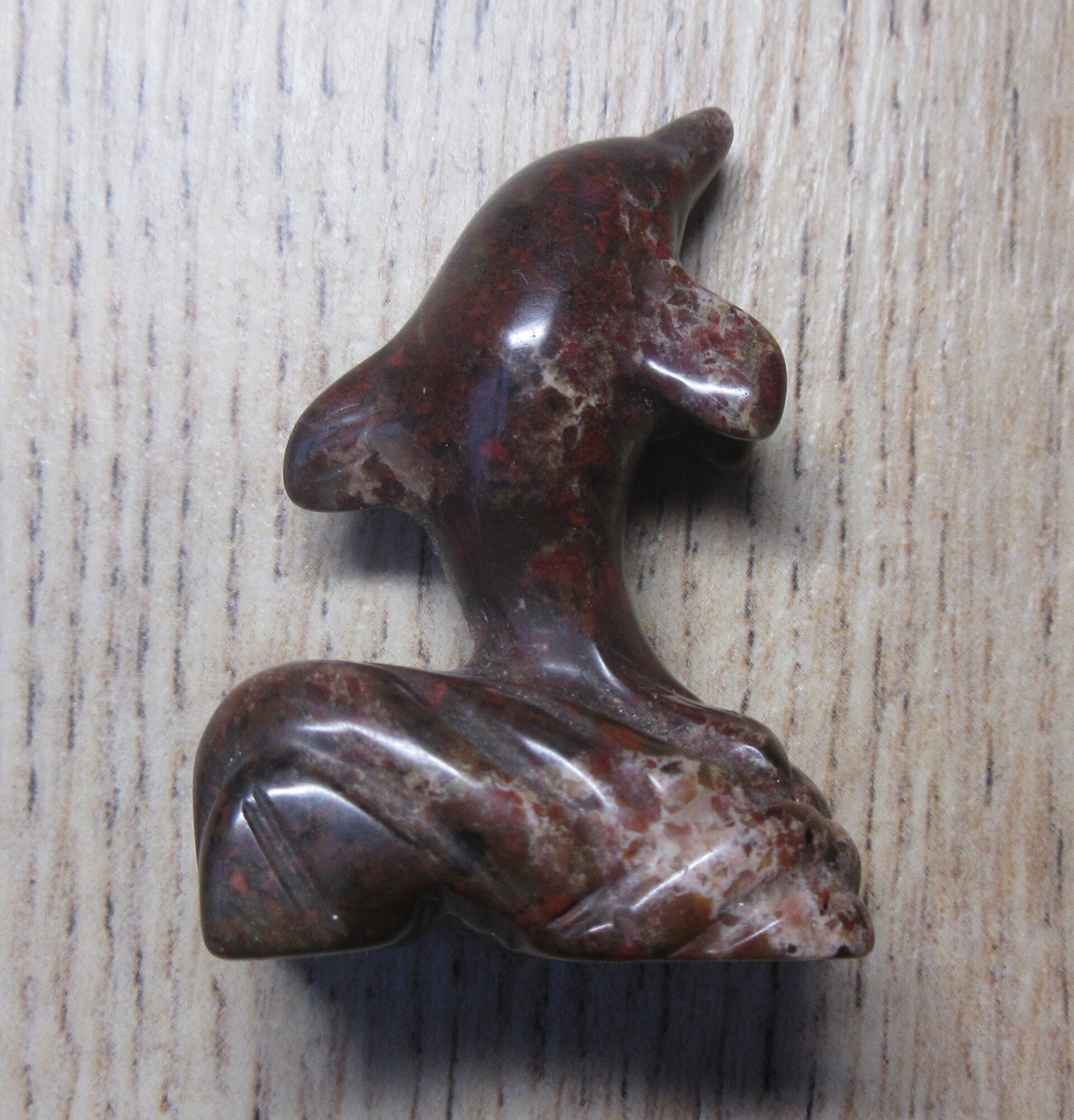 Dolfijn Brecci Jaspis (#262)