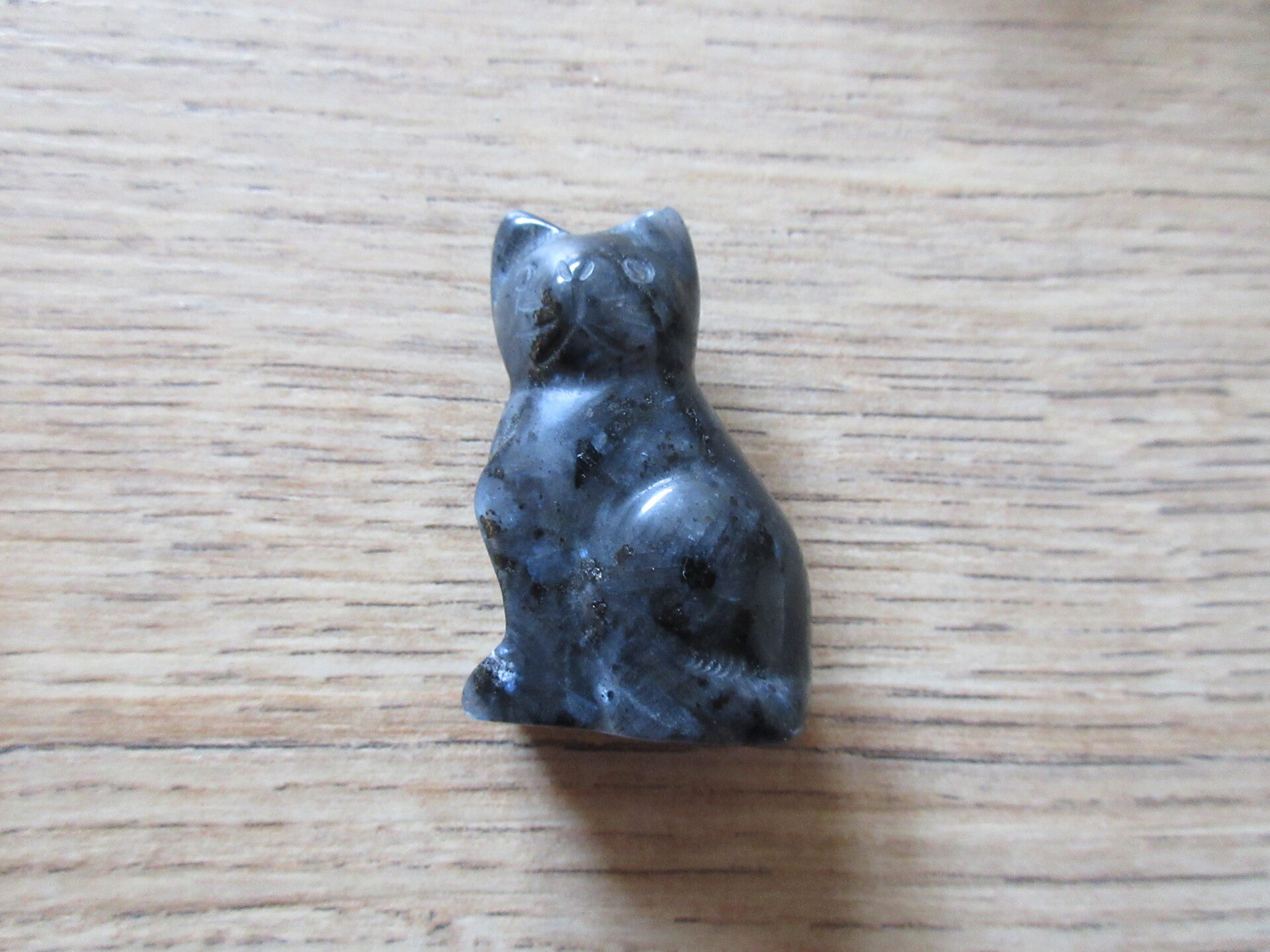 Kat Labradoriet (#383)