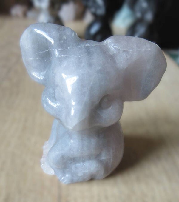 Koala groot (#423)