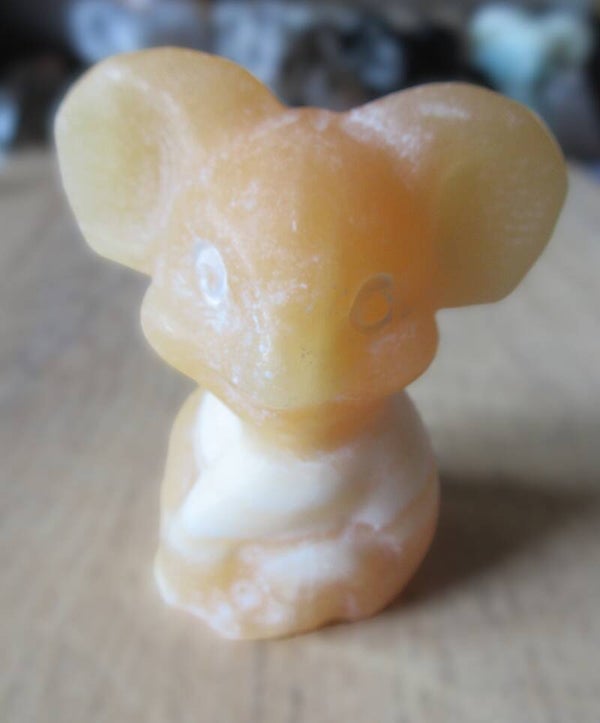 Koala groot`Gele Calciet (#426)