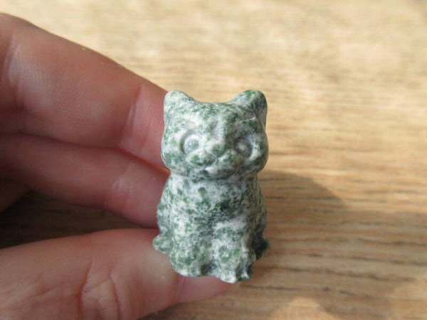 Kat Zittend Boomagaat (#575)