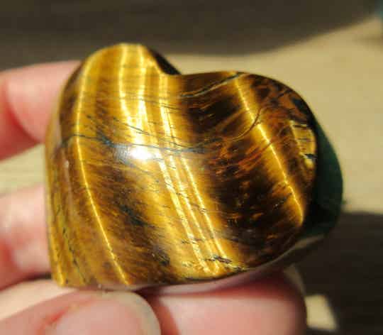 Hart Tijgeroog (#645)