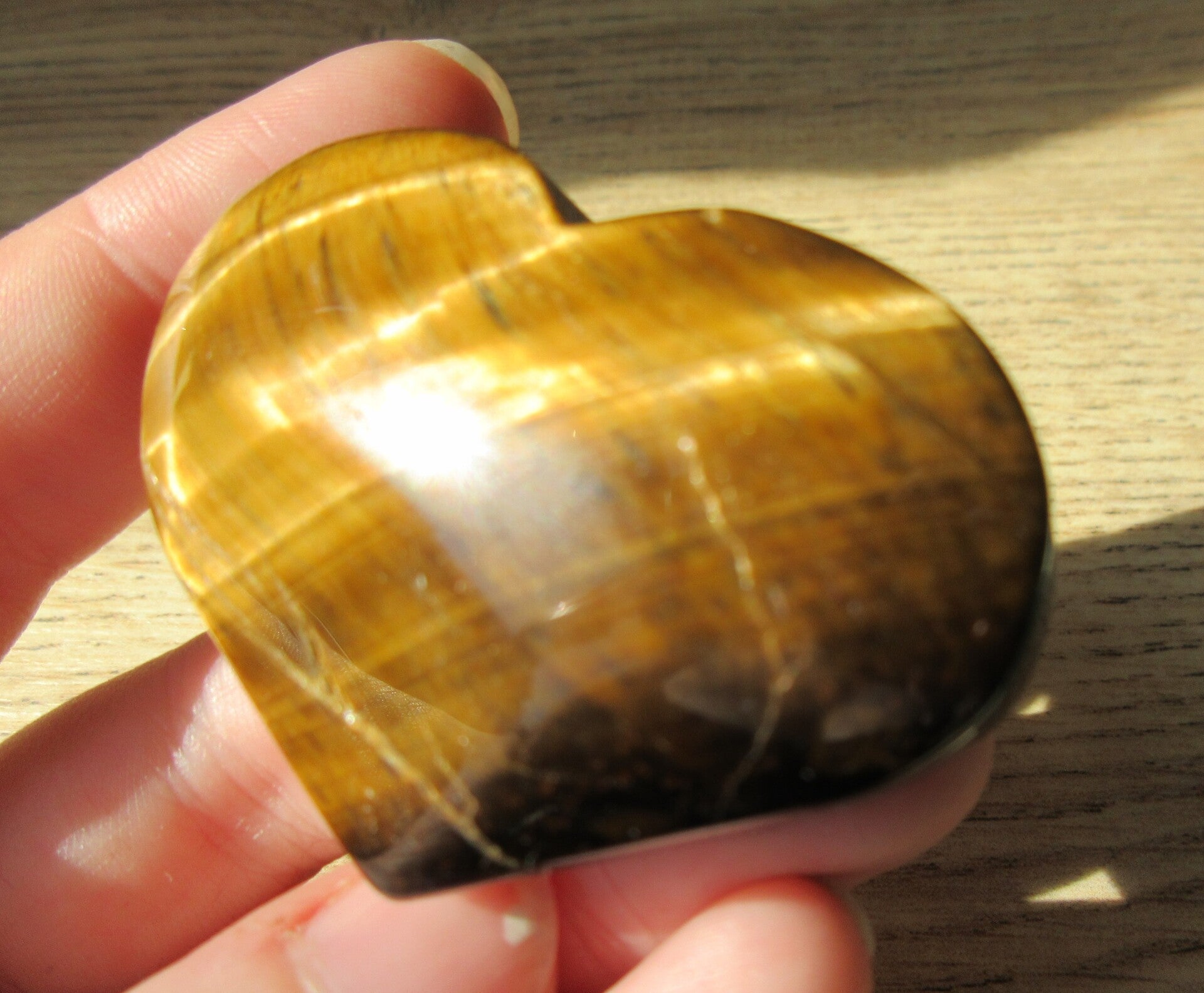 Hart Tijgeroog (#646)