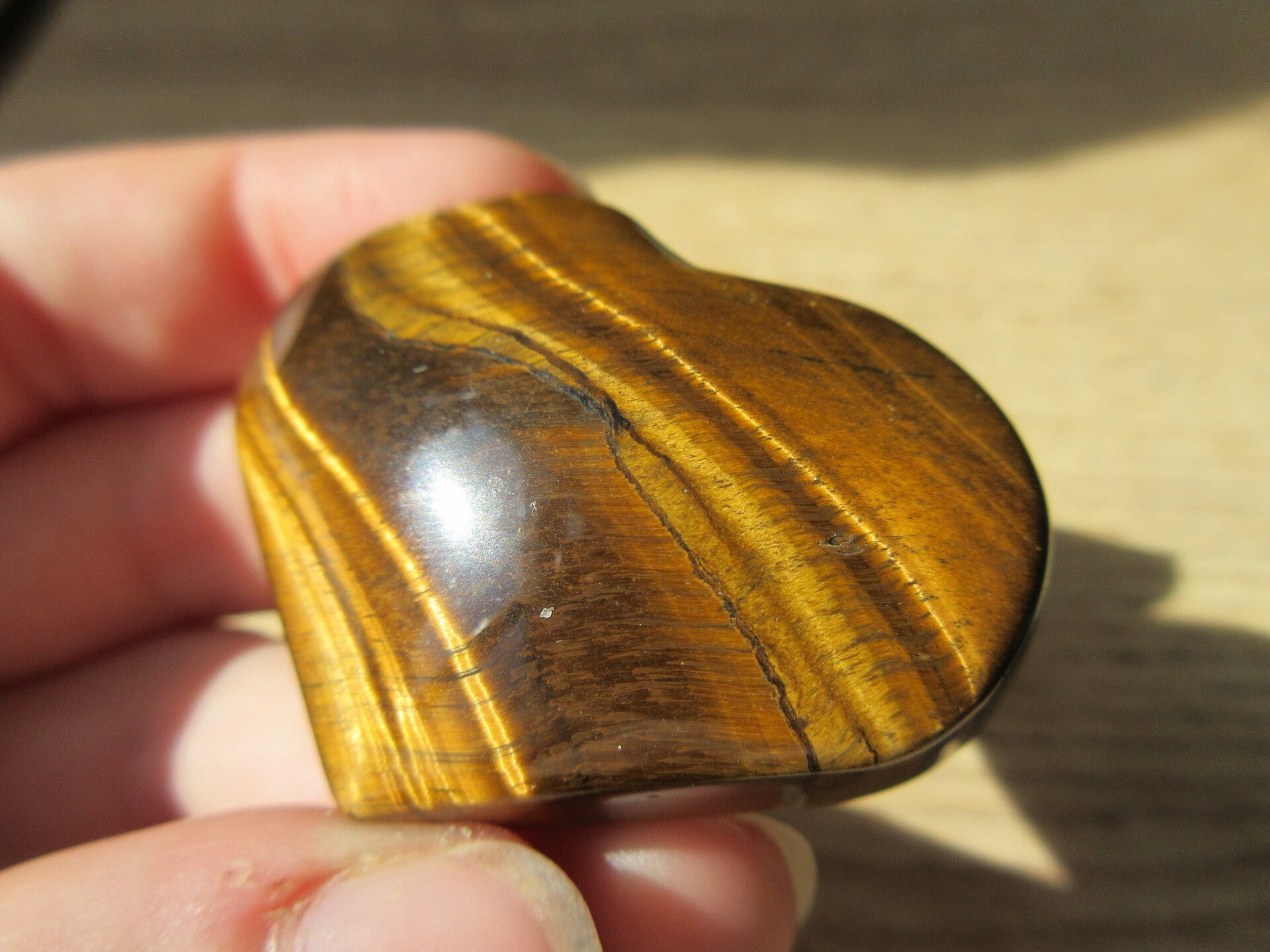 Hart Tijgeroog (#647)