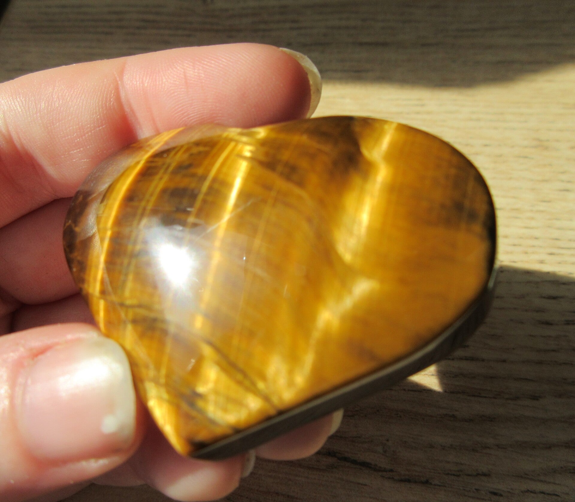 Hart Tijgeroog (#648)