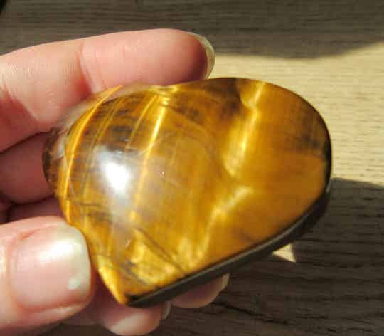 Hart Tijgeroog (#648)