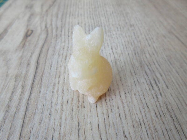 Konijn Gele Calciet (#684)