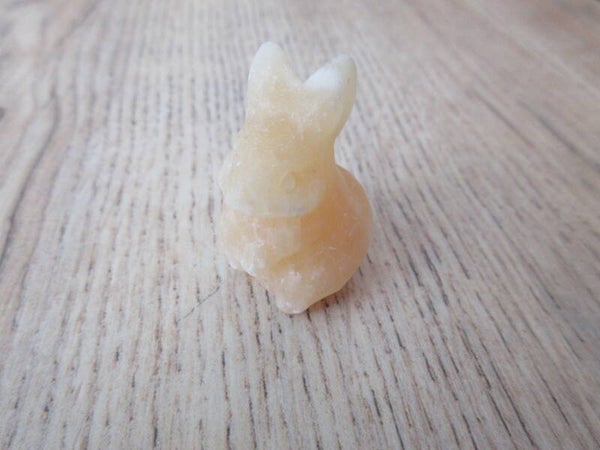 Konijn Gele Calciet (#686)